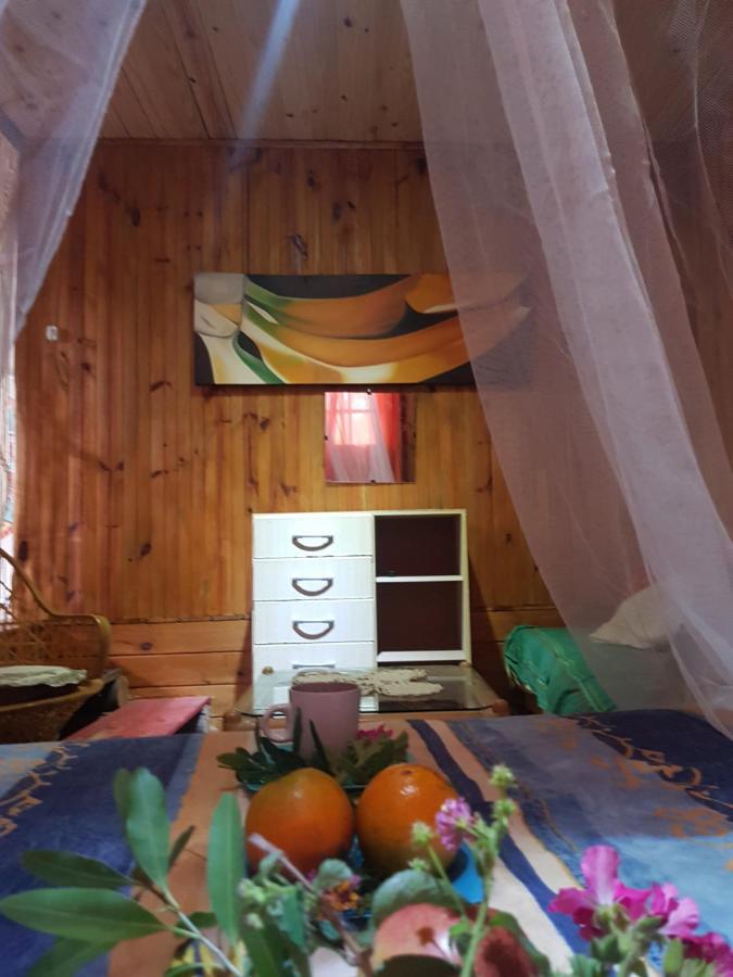 Cabana La Rustika Punta Del Diablo Eksteriør billede